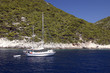 little yacht