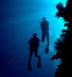 divers