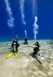 divers 2