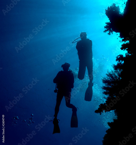divers