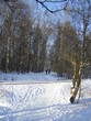 Foto: winter road to park winter road to park