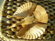  a bird from a tree laying on a basket