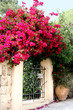 Foto: the gate decorated flowers the gate decorated flowers
