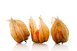 physalis