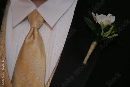 Photo: tie shirt tux vest coat boutinerre tie shirt tux vest coat boutinerre