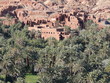 palmeral palmeral