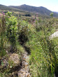 cevennes national park (france) 5 cevennes national park (france) 5