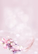 frame_petal_2