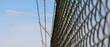 barbed wire