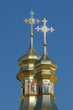 orthodox crosses