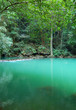 jungle lagoon, green water, thailand