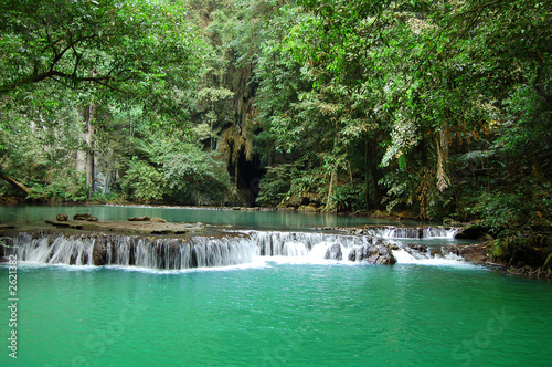 jungle lagoon, green water, thailand