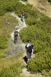 mountain hiking