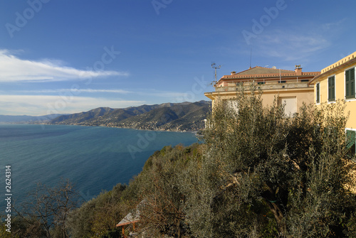 san rocco di camogli genova san rocco di camogli genova