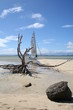 arbre et bateau