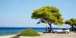 trees. sea. car. family. sky. tree. ocean. greece. trees. sea. car. family. sky. tree. ocean. greece.
