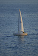 sailing boat