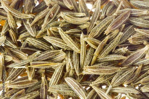 Photo: cumin seeds cumin seeds