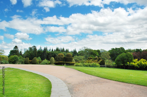 Photo: forest and garden on bright summer day forest and garden on bright summer day