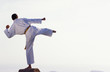 karate