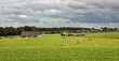 farm panorama