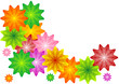 flower pattern_39 flower pattern_39