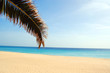plage déserte