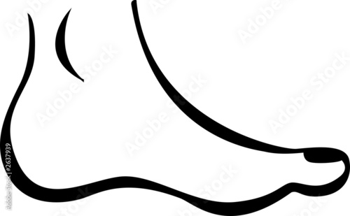 Illustration: human feet human feet