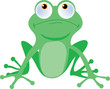 tree frog
