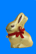 hase in staniol