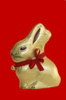 schoko hase