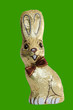 osterhase