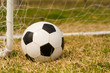 soccer ball & goal soccer ball & goal
