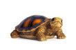 tortoise