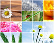 fr&uuml;hlings impressionen