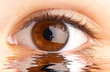 eye