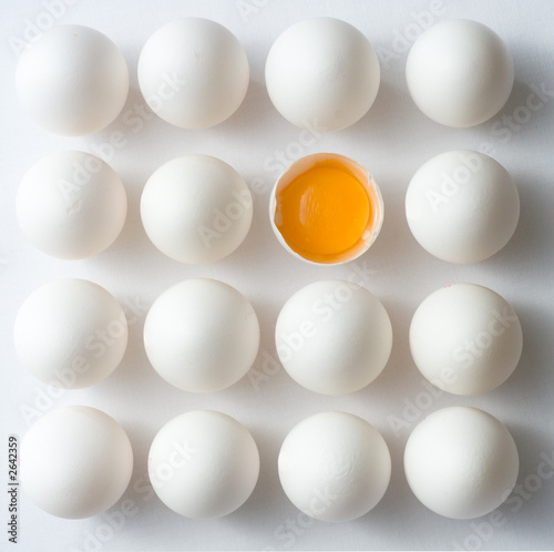 odd egg out