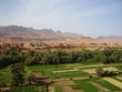 Photo: desert oasis desert oasis