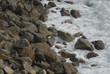 coast