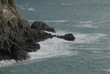 mediterranean coast
