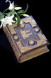 bible