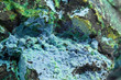 macro di malachite