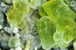 macro: minerale di fluorite
