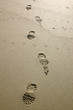 footprints in sand and bird claw prints