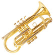 Foto: trumpet-2 trumpet-2