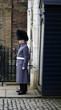 standing guard
