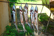 fische