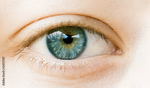 Foto: oeil de femme bleu vert sérénité en gros plan oeil de femme bleu vert sérénité en gros plan