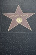 Marilyn
