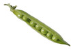 petit pois ouvert